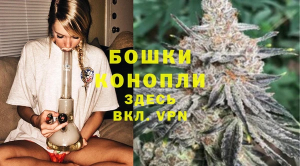 индика Балабаново