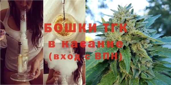 индика Балабаново