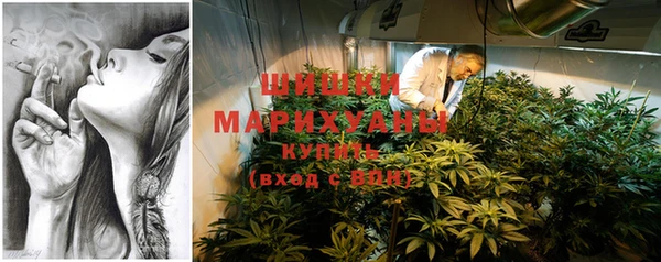 индика Балабаново