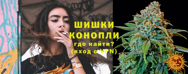 индика Балабаново