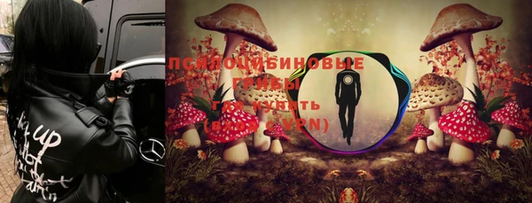 ALPHA-PVP Баксан