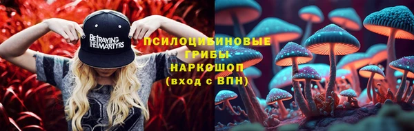 индика Балабаново