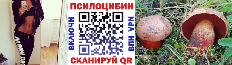 Галлюциногенные грибы Magic Shrooms  Гремячинск 